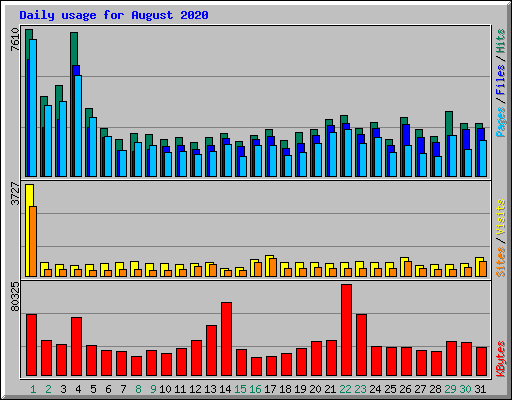 Daily usage for August 2020