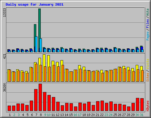 Daily usage for January 2021