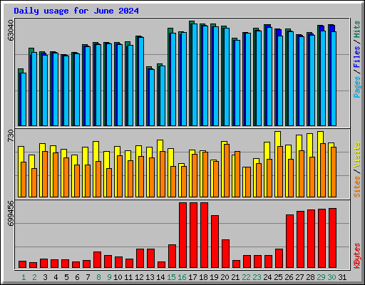 Daily usage for June 2024