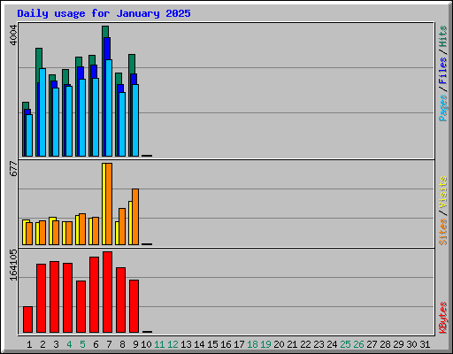 Daily usage for January 2025