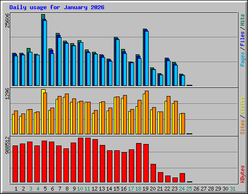 Daily usage for January 2026