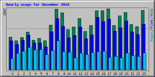 Hourly usage for December 2016