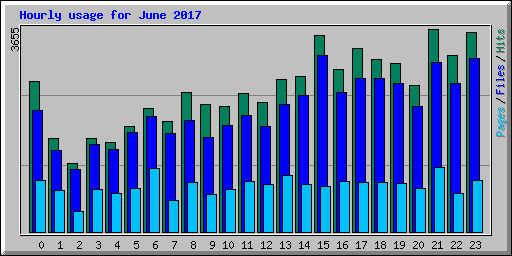 Hourly usage for June 2017