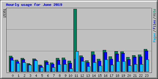 Hourly usage for June 2019