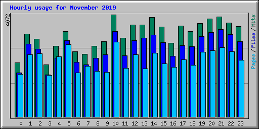 Hourly usage for November 2019