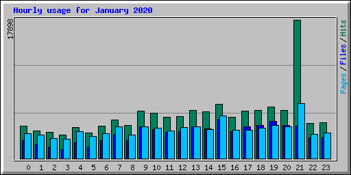 Hourly usage for January 2020