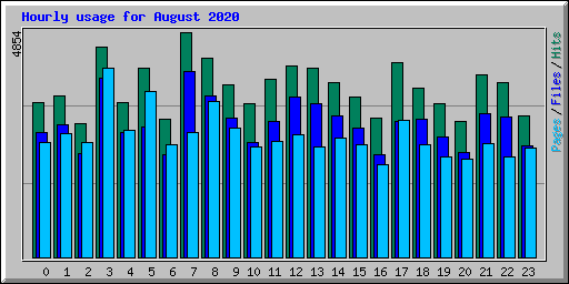 Hourly usage for August 2020