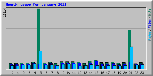 Hourly usage for January 2021