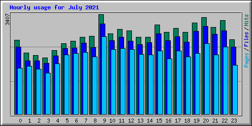 Hourly usage for July 2021