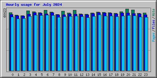 Hourly usage for July 2024