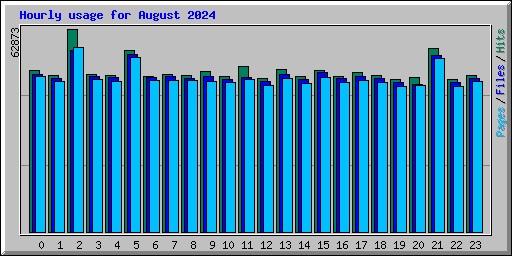 Hourly usage for August 2024