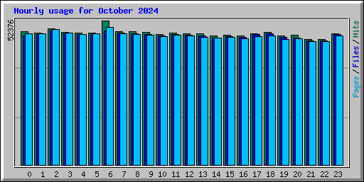 Hourly usage for October 2024