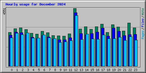 Hourly usage for December 2024