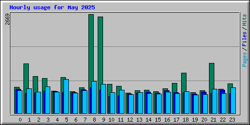 Hourly usage for May 2025