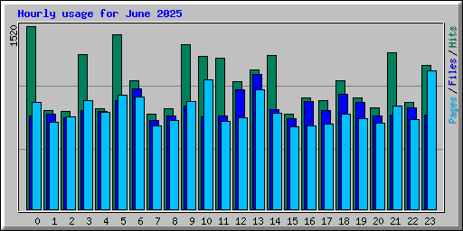Hourly usage for June 2025