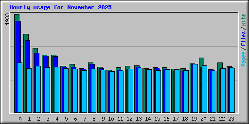 Hourly usage for November 2025