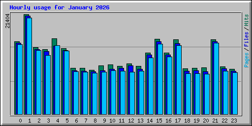 Hourly usage for January 2026