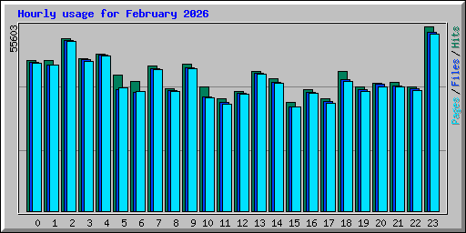 Hourly usage for February 2026
