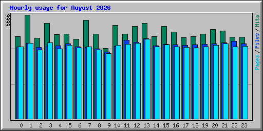 Hourly usage for August 2026